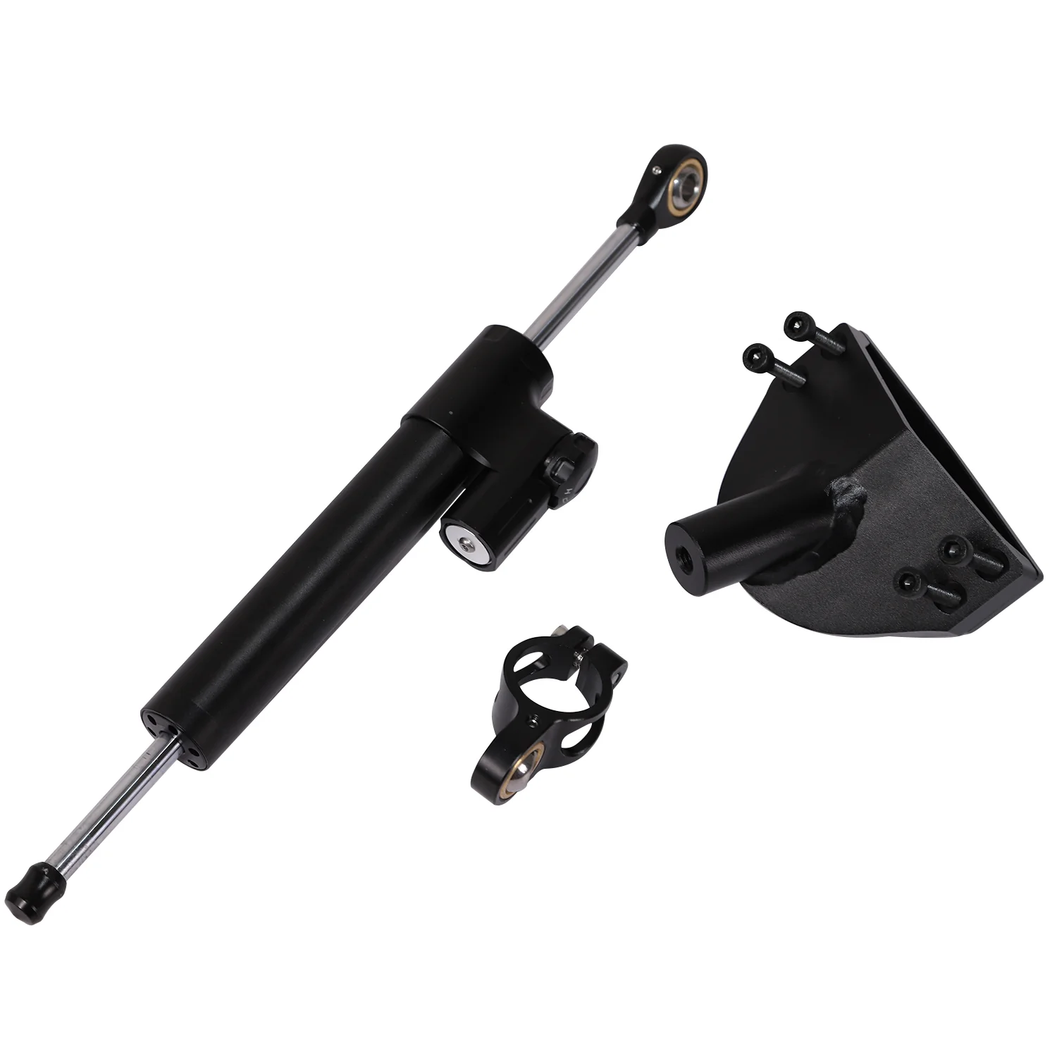 Dampener+Dampener bracket Raptor